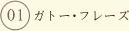 1.�K�g�[�E�t���[�Y